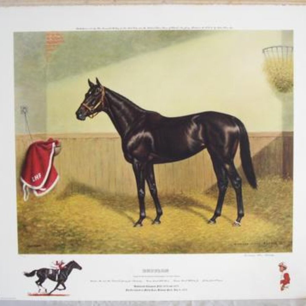 Meet your Posher, Mary